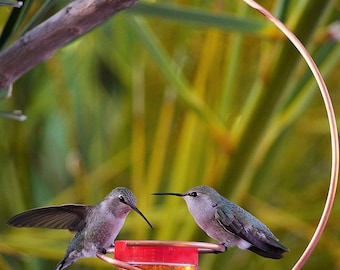 Copper Hummingbird Feeder, Bee-Proof, Drip-Free, Version II