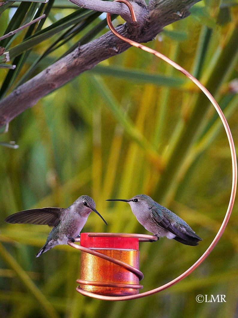 Bee Proof Drip Free Copper Hummingbird Feeder Ii Etsy