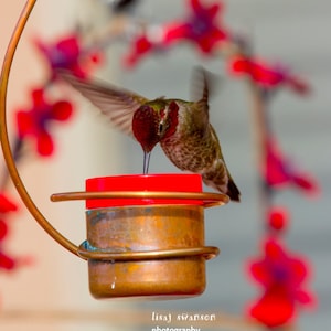 Bee-Proof, Drip-free Copper Hummingbird Feeder Version I image 4