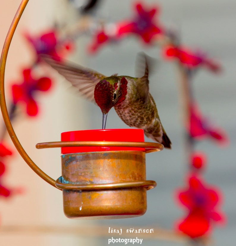 Bee-Proof, Drip-free Copper Hummingbird Feeder Version I image 4