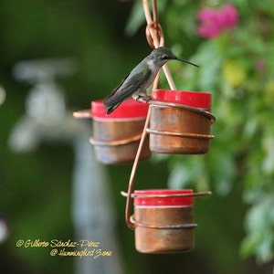 May include: A hummingbird perched on a copper feeder with red glass inserts. The feeder is suspended from a wire and has three feeding stations. The hummingbird is drinking nectar from the feeder.