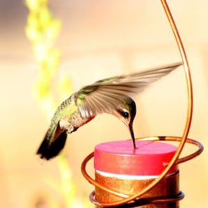 Bee-Proof, Drip-free Copper Hummingbird Feeder with Metal Hummingbird image 8