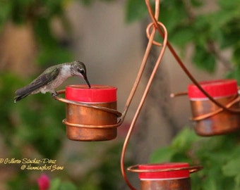 Three Station Hummingbird Feeder, Bee and Wasp Proof, Solid Copper