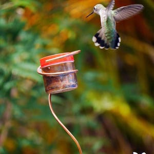 May include: A hummingbird hovers near a copper-colored bird feeder with a red top. The bird has green and white feathers and is in mid-flight. The background is a blur of green and orange foliage.