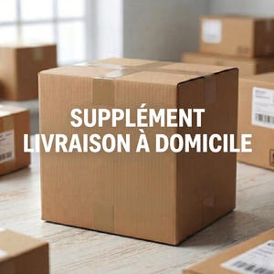 Peut inclure: Plusieurs boîtes en carton de différentes tailles, certaines avec des étiquettes d'expédition, sont empilées. La boîte avant affiche le texte "SUPPLÉMENT LIVRAISON À DOMICILE" en blanc.