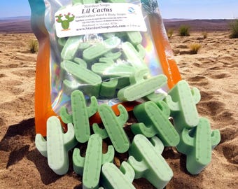 Paquete de jabones artesanales de cactus / Aroma a lirio del valle / Set de 10 jabones artesanales / Bonita colección de jabones para regalo / Jabones de lujo para el baño y el cuerpo