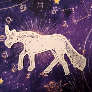 Le cheval de l'espace errant