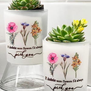Funny Succulent Mini Ceramic Planter, If Assholes Were Flowers I'd Always Pick You