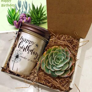 Customizable Birthday Candle Set with Succulent, Bath Bomb, and Salt Tubes image 8