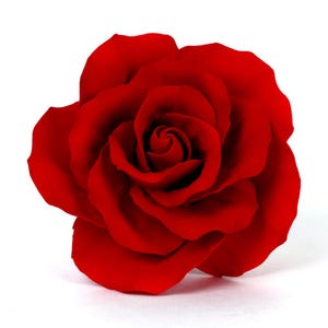 Pode incluir: Uma rosa vermelha totalmente desabrochada em fundo branco. As p&eacute;talas de um vermelho intenso est&atilde;o dispostas em espiral, revelando uma textura macia e aveludada. A imagem destaca a beleza natural e a forma delicada da rosa.
