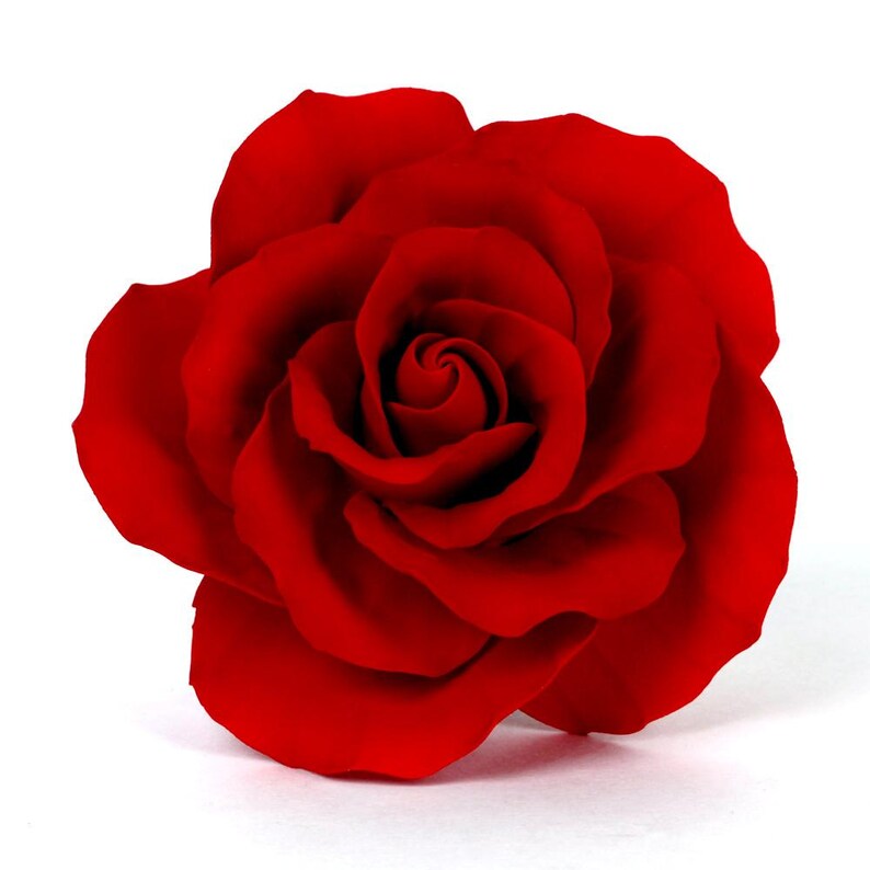 Pode incluir: Uma rosa vermelha totalmente desabrochada em fundo branco. As p&eacute;talas de um vermelho intenso est&atilde;o dispostas em espiral, revelando uma textura macia e aveludada. A imagem destaca a beleza natural e a forma delicada da rosa.