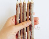 Twig Pencils (5" Twig Pencils Bundle) 10 Twig Pencils • Rustic Twig Pencils