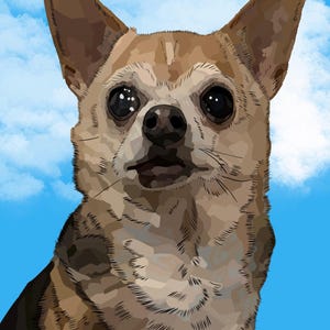 Custom Pet Portraits!