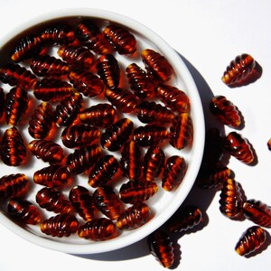 Root Beer Teardrop Glass Beads: Jewelry Making Supplies (Pack of 10)