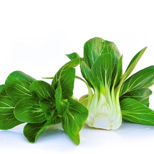 Pak Choi Chinese Cabbage Seeds, Bok Choy Seeds