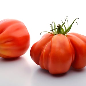 Organic Italian Giant Beefsteak Tomato Seeds
