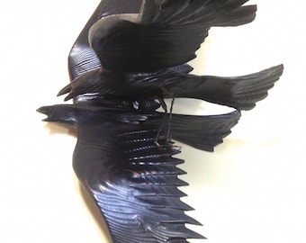 Crow Pair Flying wood sculpture Jason Tennant