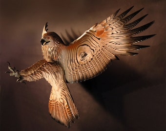 May include: A brown and white hawk with its wings spread wide. The hawk is mounted on a brown background.