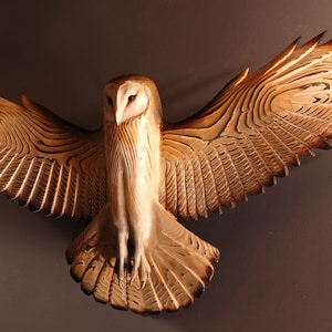 Barn Owl wood sculpture wall art Jason Tennant image 2