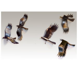 Flying Crows wall art wood sculptures  Set of Five Crows.