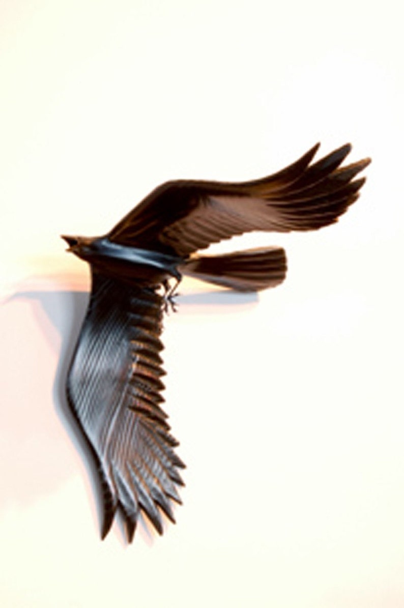 Flying Crows wall art wood sculptures Set of Five Crows. image 2