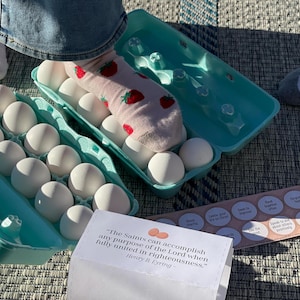 Puede incluir: Dos cartones de huevos turquesa abiertos llenos de huevos blancos. Se ve un par de calcetines con estampado de fresas. También se ve un papel con el texto "Los santos pueden lograr cualquier propósito del Señor cuando están plenamente unidos en la rectitud".