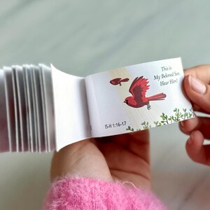 May include: A small, white book with a red cardinal illustration on the cover. The book is open to a page with the text "This is My Beloved Son. Hear Him!" and the scripture reference "Isaiah 1:16-17".