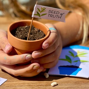 Experiment Upon the Word Seed Growing Kit | Book of Mormon Object Lesson on Faith and Growing Testimony | Come Follow Me