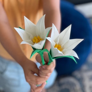 May include: A bouquet of two white paper flowers with yellow centers and green stems. The flowers are held by a person's hand.