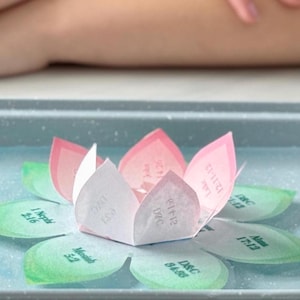 Puede incluir: Una flor de loto de papel con pétalos verdes y rosas. Los pétalos tienen texto, incluyendo "Nepal" y "DVC".