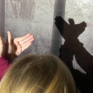 May include: Hands forming a bird shadow against a wall. The shadow is dark and bird-like, with spread wings. The person is wearing a maroon long-sleeved top. The background is a monochrome forest scene.