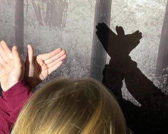 Type and Shadow Hand Puppet Cards | Object Lesson on Understanding Scripture | Come Follow Me