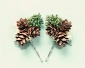 Pine cone hair clip, Rustic wedding accessory, Winter wedding, Bridal hair pins, Woodland hair clips, Woodland hair, Bridal hair, Holiday