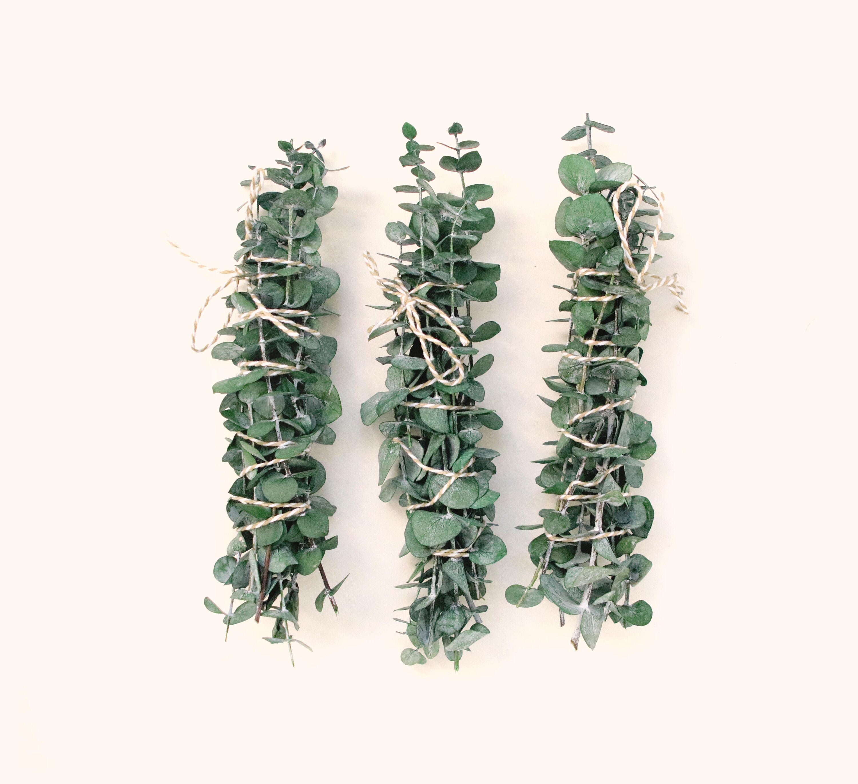Dried eucalyptus bundle Frosted light green Natural Etsy