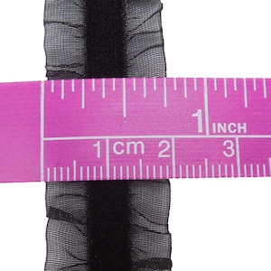May include: Black velvet ribbon trim with a ruffled sheer mesh edge. The trim is measured with a ruler showing 1 inch.