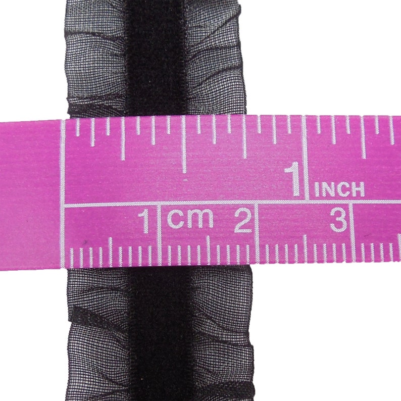 May include: Black velvet ribbon trim with a ruffled sheer mesh edge. The trim is measured with a ruler showing 1 inch.