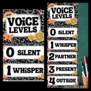 May include: A classroom chart with a black and white background and colourful flowers. The chart is titled "Voice Levels" and lists five levels of noise: 0 Silent, 1 Whisper, 2 Partner, 3 Present, and 4 Outside.