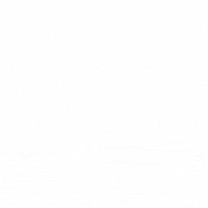 Peut inclure: Un fond blanc.