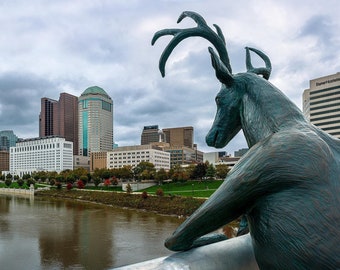 The Buck Stops Here — A bronze deer sculpture looks over the Scioto River at downtown Columbus, Ohio from the Rich Street Bridge.