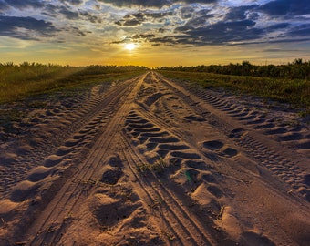 Kissimmee Prairie Sunset — The sunset from a trail in Kissimmee Prairie State Park, Florida