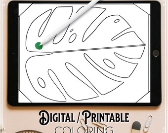 Dibujos para colorear de plantas tropicales imprimibles, para amantes de las plantas, arte lineal minimalista, descarga digital
