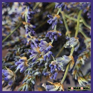 May include: Close-up of dried lavender flowers, showing the purple blooms and green stems. The flowers are arranged in a cluster, with some of the stems overlapping.