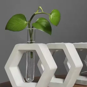 May include: A white hexagonal frame made of a solid material, featuring a clear glass test tube inserted into the center. A green plant with three heart-shaped leaves is placed inside the test tube. Additional white hexagonal frames are visible.