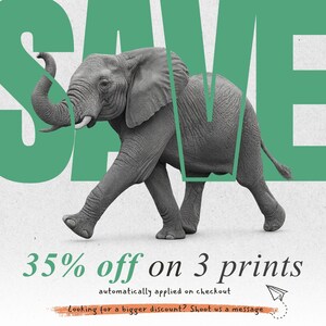 a large green word "SAVE" with a gray elephant in the foreground, and there is a text overlay that says "5% off on 3 prints automatically applied on checkout" and "looking for a bigger discount? Shoot us a message".