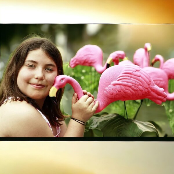 Pink Flamingo Yard Decorations - Etsy