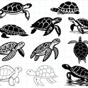 Turtle svg Bundle, Sea Turtle svg, Cute Sea Turtle svg, Baby Turtle svg, Ocean Turtle svg, Tortoise Svg, Turtle cut files for cricut