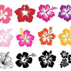 May include: A set of 12 hibiscus flower illustrations in various colors, including pink, red, purple, orange, and black. The flowers are stylized and have a simple design.