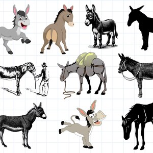 Donkey SVG Bundle, Cool Donkey Svg, Funny Donkey Png, Donkeys Svg Png, Donkey Cut File, Donkey silhouette, Donkey Clipart, Donkey print
