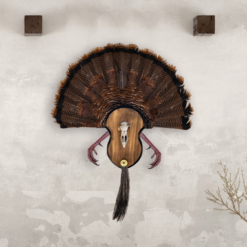: Taxidermists Woodshop The Black Walnut Turkey Mounting Kit... : Taxidermists Woodshop The Black Walnut Turkey Mounting Kit...