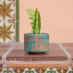 May include: A cylindrical ceramic planter with a teal blue-green glaze and a repeating pattern of terracotta-colored circles and semi-circles. A green zig-zag cactus plant grows from the top of the pot, which has a flat base.